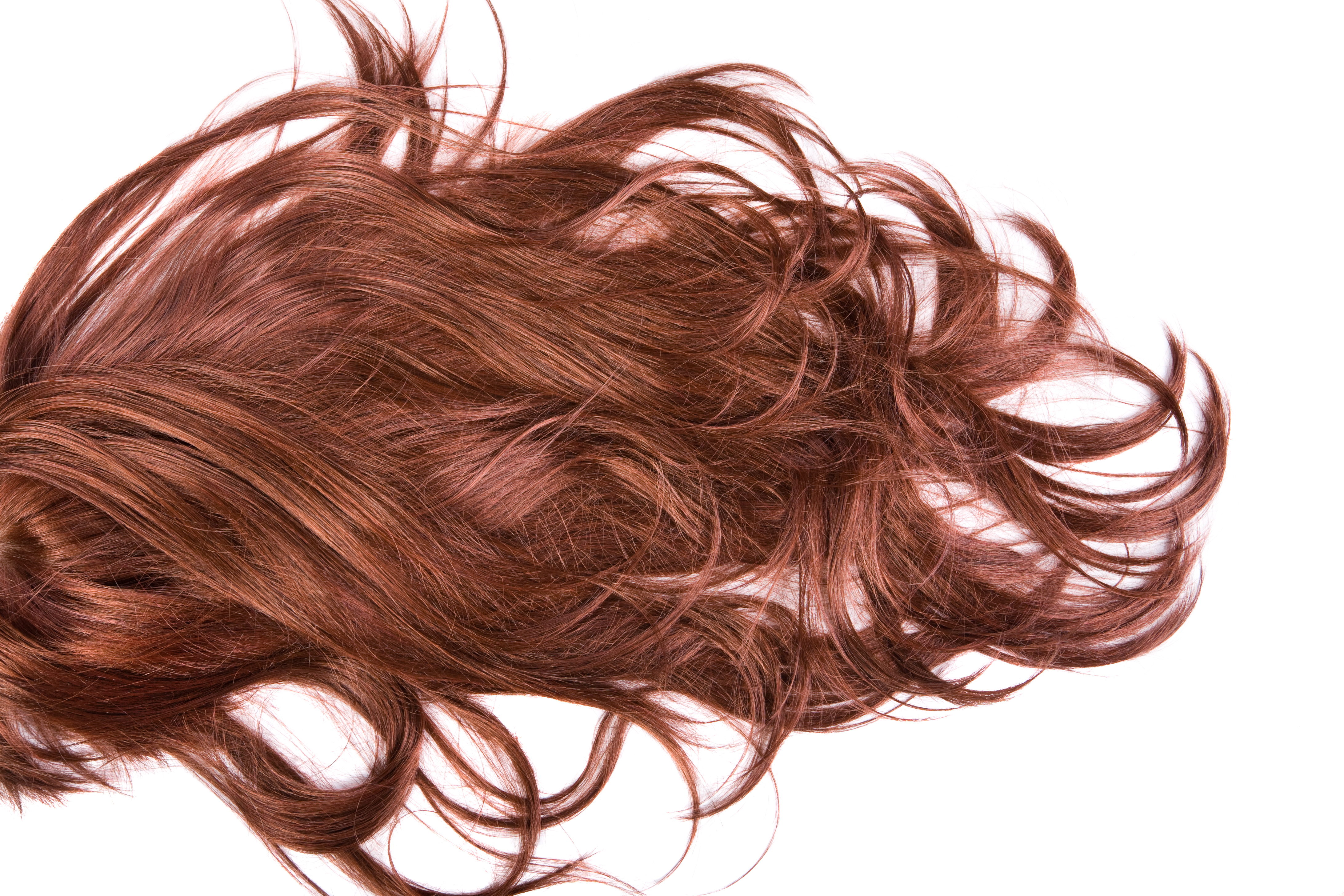 Capilia Longa – Seus cabelos nunca mais por um fio
