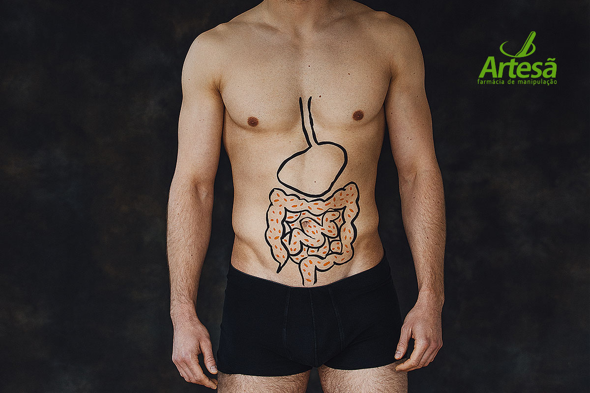 Lactobacilos – Você sabia quem existem muitos tipos de lactobacilos?